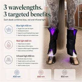 Equine LTS 3.0